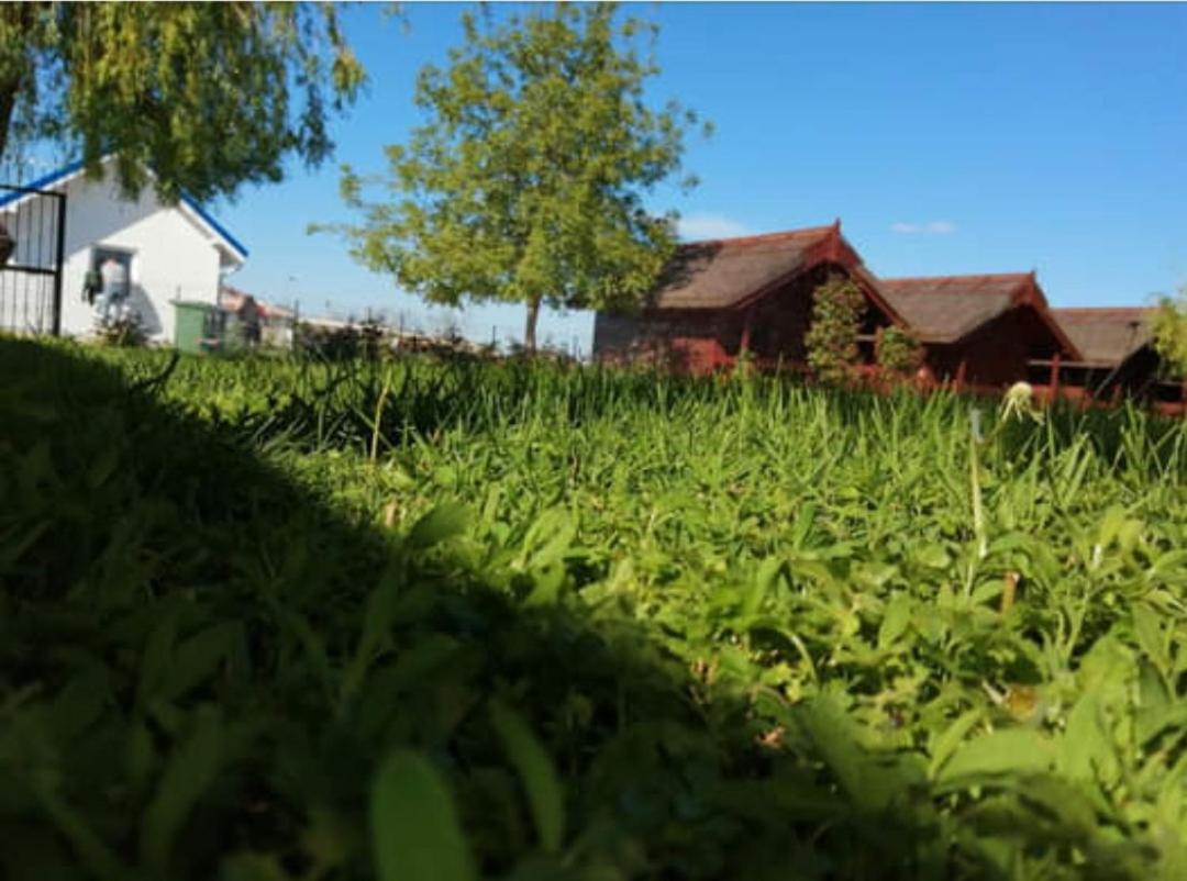 Pensiunea La Tavi Gasthof Murighiol