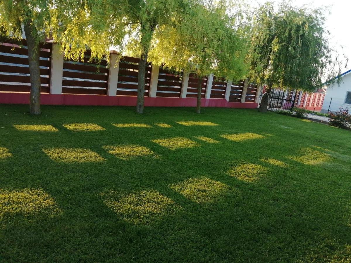 Pensiunea La Tavi Gasthof 3*